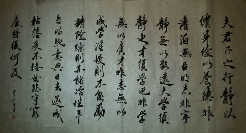 全国名人书画艺术风采展示--孙兆阳