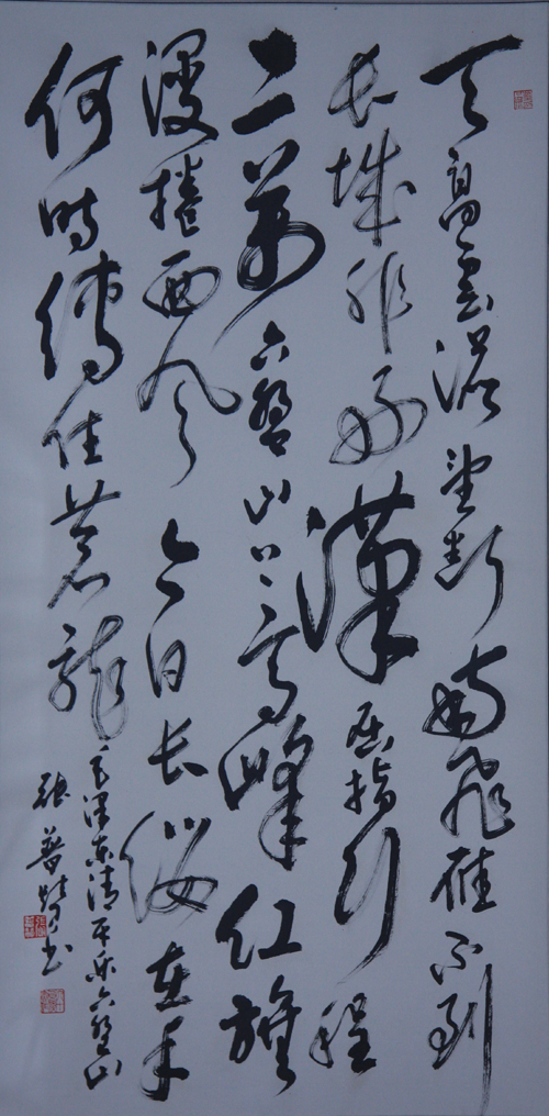全国名人书画艺术风采展示--张普赞