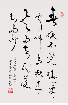 林树波