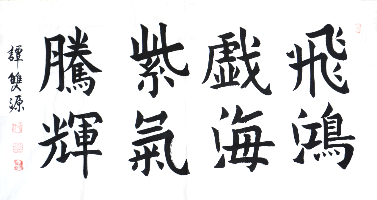 全国名人书画艺术风采展示--谭双源