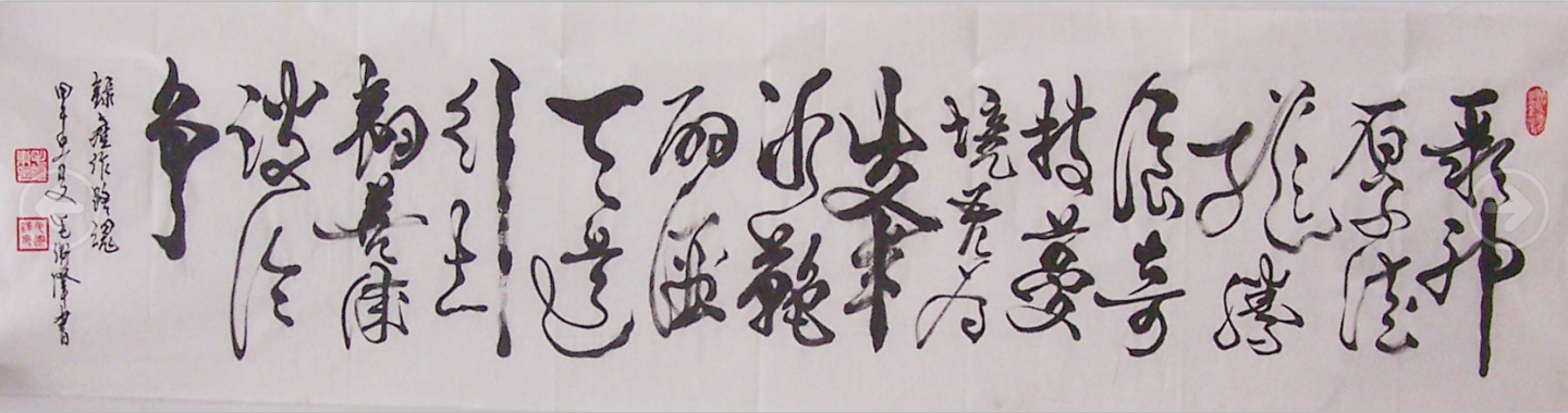 全国名人书画艺术风采展示--毛卫泽