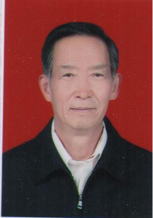 全国名人书画艺术风采展示--王永红