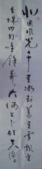 全国名人书画艺术风采展示--王永红