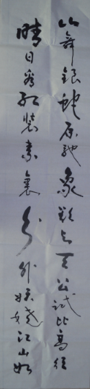 全国名人书画艺术风采展示--王永红