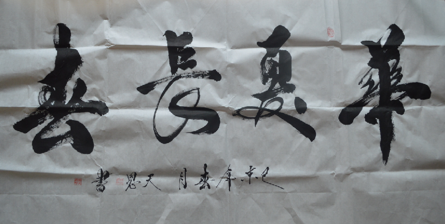 全国名人书画艺术风采展示--解天恩
