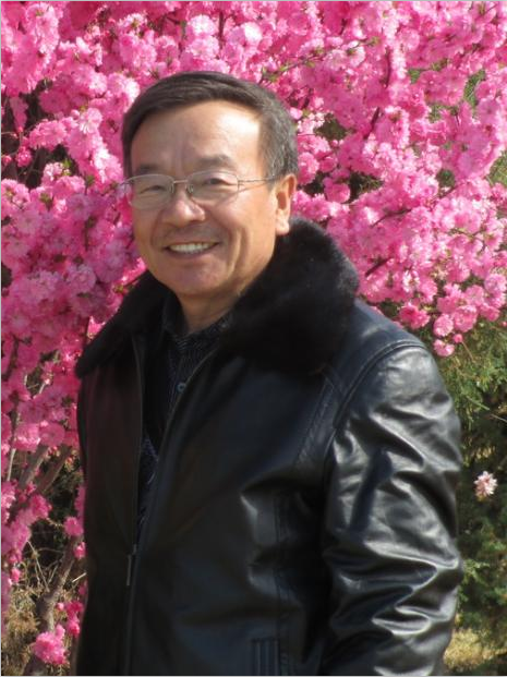 全国名人书画艺术风采展示--段金祥
