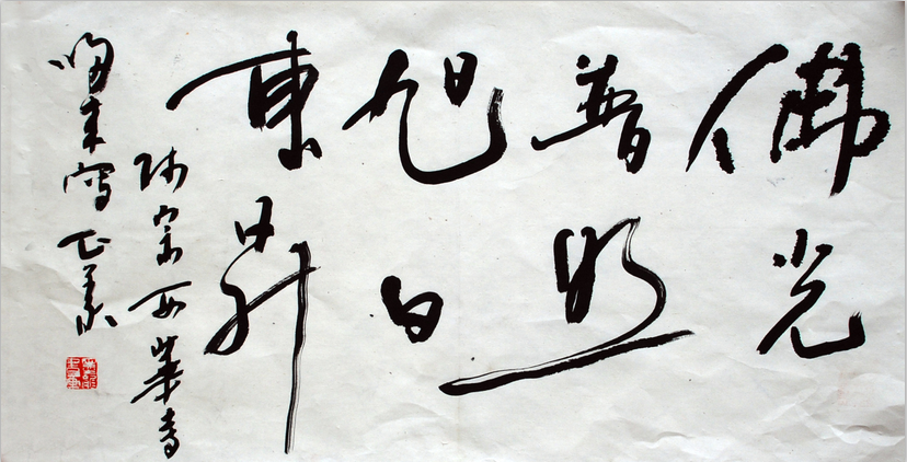 全国名人书画艺术风采展示--金顺先