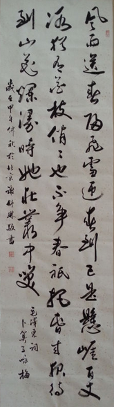 全国名人书画艺术风采展示--谢舒琳
