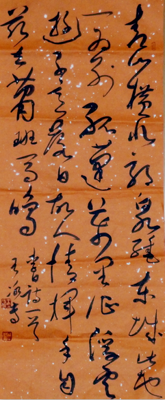 全国名人书画艺术风采展示--王冰专 全国名人书画艺术风采展示--王冰专