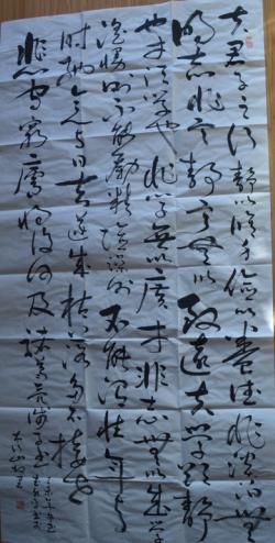 全国名人书画艺术风采展示--武水平