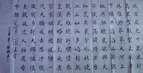 中央国家机关书法家协会会员--林环艺术简介