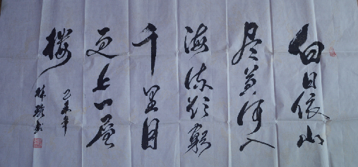 中央国家机关书法家协会会员--林环艺术简介
