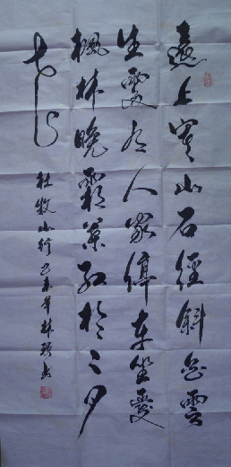 中央国家机关书法家协会会员--林环艺术简介
