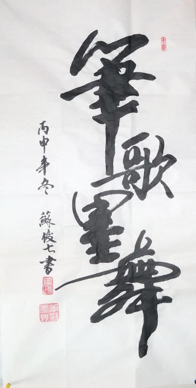 全国名人书画艺术风采展示--苏俊七