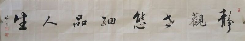 全国名人书画艺术风采展示--李振光