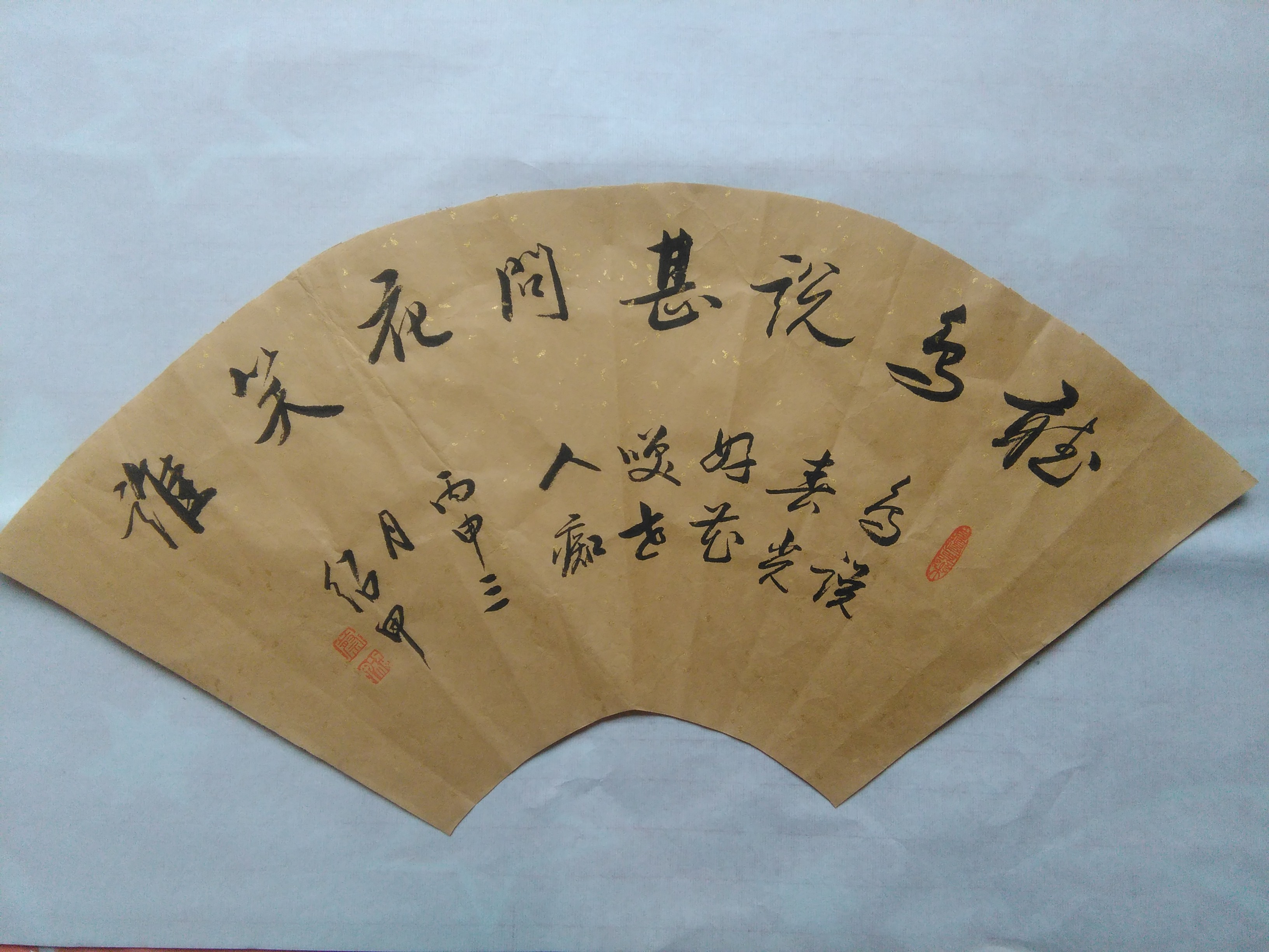 全国名人书画艺术风采展示--蔡绍甲
