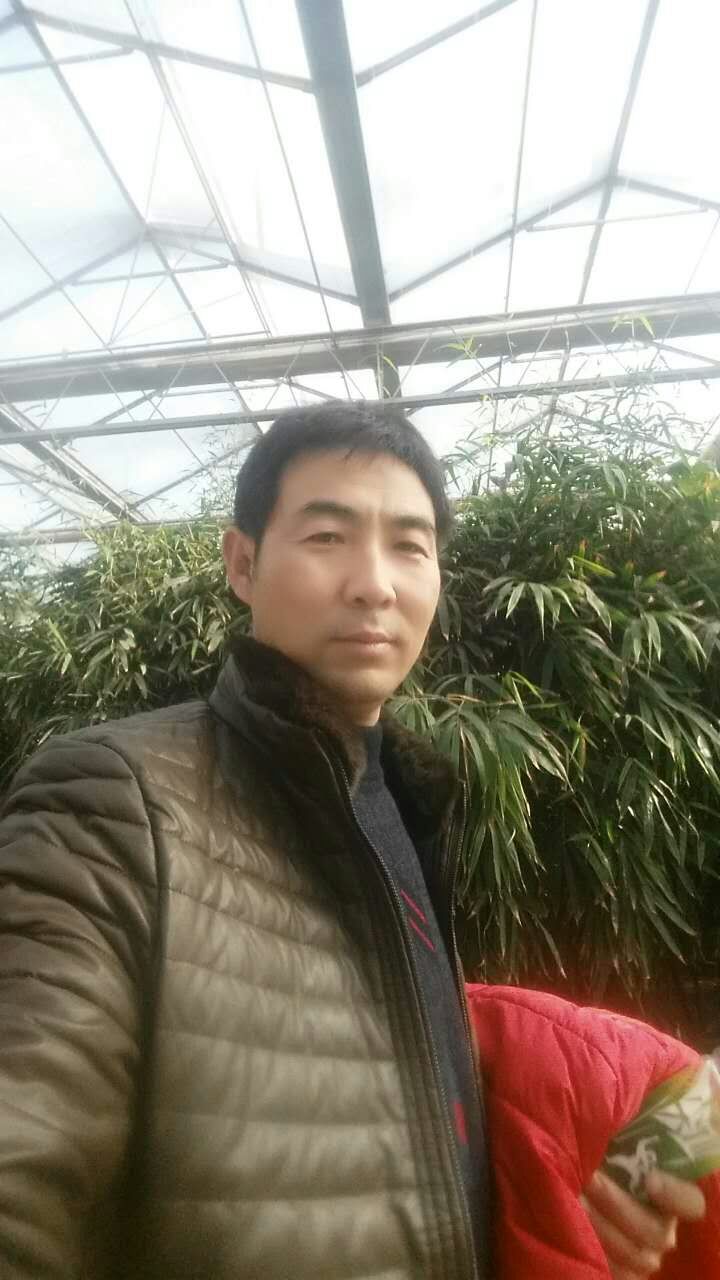 全国名人书画艺术风采展示--邢泽青