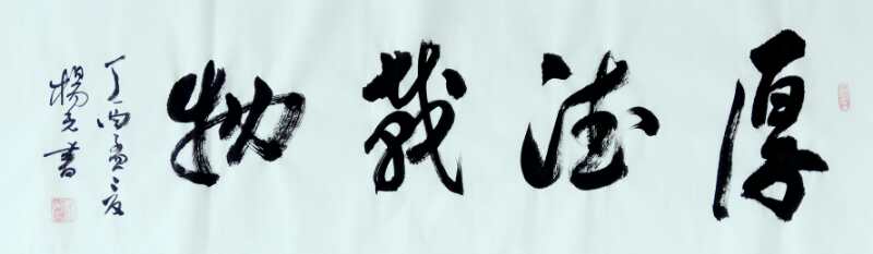 全国名人书画艺术风采展示--杨光