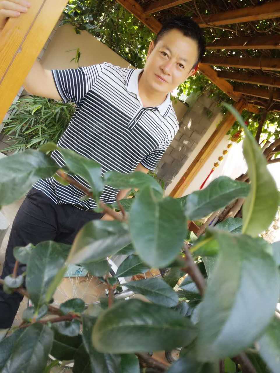 全国名人书画艺术风采展示--刘晓标