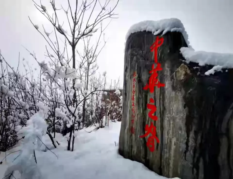 涉县籍老兵军旅书法家王成志挥毫泼墨祝贺河北省旅发大会圆满成功
