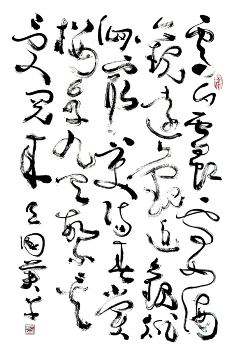 吕国英：“书象”由“象”