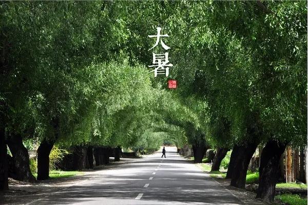 军旅书法家王成志中华二十四节气诗书作品赏