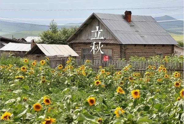 军旅书法家王成志中华二十四节气诗书作品赏