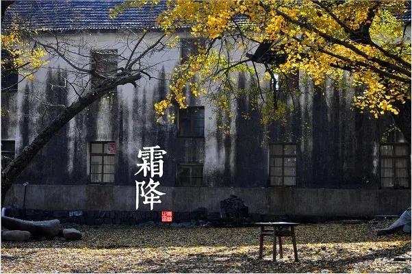 军旅书法家王成志中华二十四节气诗书作品赏